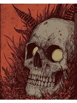 Motorcu Buff Maske Boyunluk Outdoor Boyunluk Unisex Bandana 5'li Paket