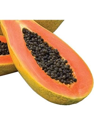 Vipfoni Papaya (Ağaç Kavunu) Tohumu