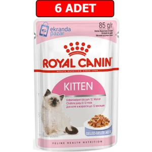 Royal Canın Yavru Kedi Yaş Mama 6 Adet x 85 gr Kitten Jelly Jöleli