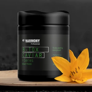 x Pro Harmony B-Tox Hair Mask Saç Maskesi 500 ml