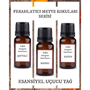 Şeftali, Mango, Kavun Esansiyel Uçucu Buhurdanlık Yağı Difüzör Esansı Ortam Kokusu