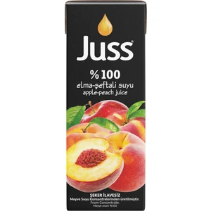%100 Elma Şeftali Suyu 27 x 200 ml