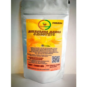 Coffee Naturelle Milkshake & Smoothie Mango 1 kg