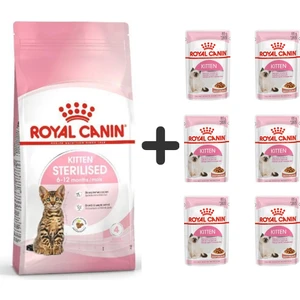 Royal Canin Kitten Sterilised Kısırlaştırılmış Yavru Kedi Maması 2 kg + 6 Adet Yaş Mama