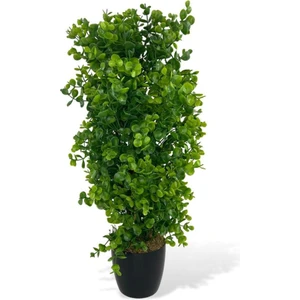 Yapay Çiçek Siyah Saksıda Yeşil Şimşir Ağacı 50 cm