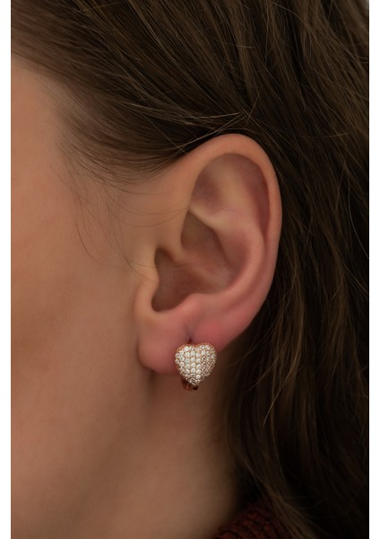 925 Ayar Zirkon Taşlı Kalp Küpe Kadın Gümüş Küpe