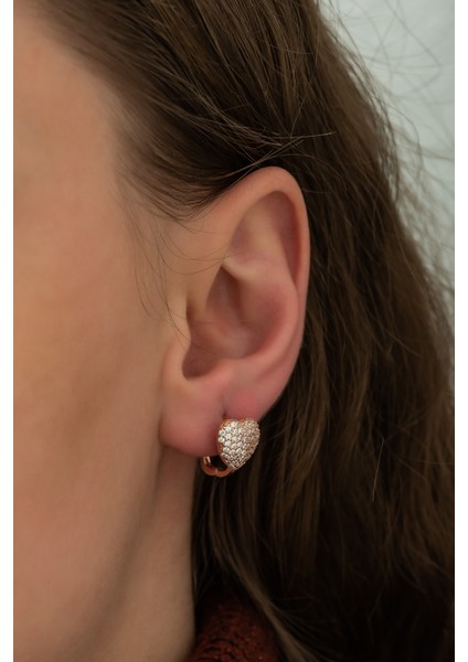 925 Ayar Zirkon Taşlı Kalp Küpe Kadın Gümüş Küpe fiyatları