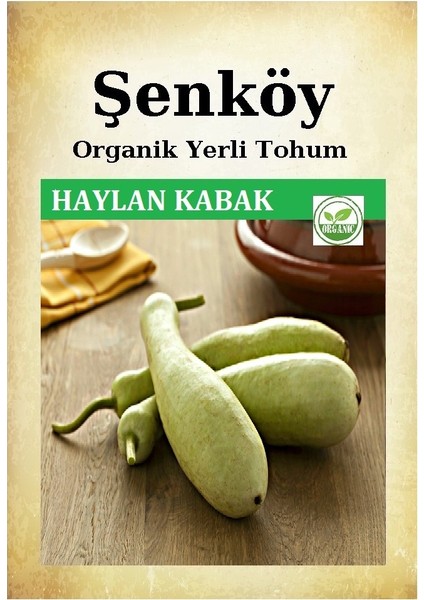 Yerli Haylan Kabak Tohumu Doğal Ata Tohum Pakette 10 Gr 35 Tohum ve Hediye Sebze Tohumu