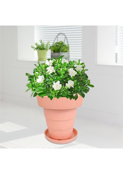 Tpr Bitki Kapları Çiçek Etli Bitkiler Katlanır Nefes Alabilen Tencere Dekoru Pembe (Yurt Dışından) fırsatları