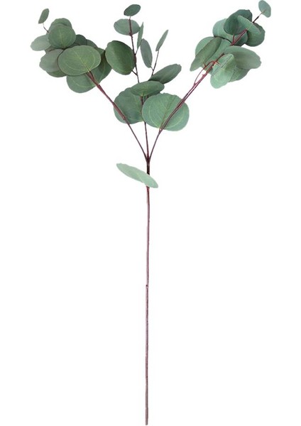 1branch Yapay Okaliptüs Ev Ofis Dekoru Için Sahte Çiçek Bırakır 63CM (Yurt Dışından) fiyatları