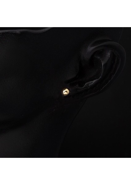 14 Ayar Altın Top Küpe 5 Mm.