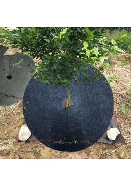 10 20.5 Inç Ağaç Yüzük Bariyeri Dokuma Olmayan Kumaş Hafif (Yurt Dışından) fırsatları