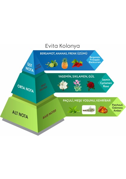 Evita Kolonya 200 ml Cam Şişe / Kutulu