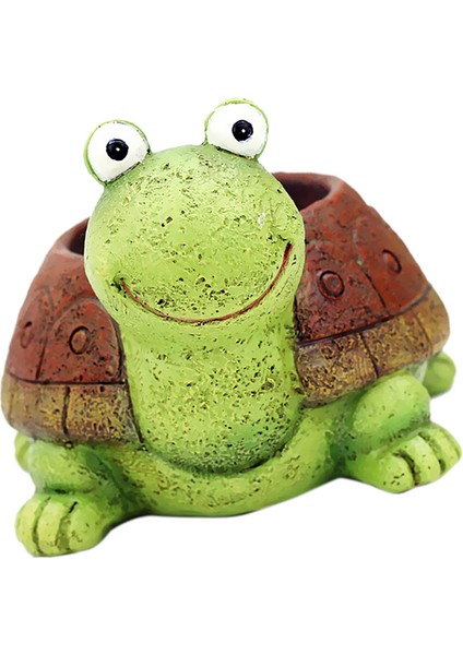 Reçine Kaktüs Etli Bitki Çiçek Bitki Pot Bahçe Ekici (Yurt Dışından)