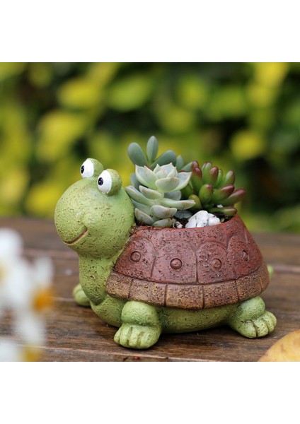 Reçine Kaktüs Etli Bitki Çiçek Bitki Pot Bahçe Ekici (Yurt Dışından)