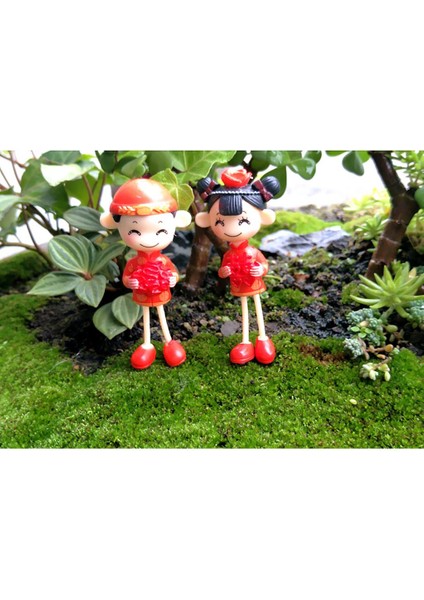 5 Çift Mikro Peyzaj Mini Reçine Bonsai Bahçe Dekor Uzun Bacaklar Çift (Yurt Dışından) indirimleri