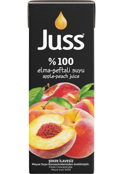 %100 Elma Şeftali Suyu 27 x 200 ml