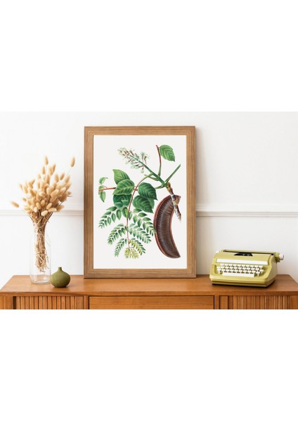 Tunç Botanik Ceratonia Leaf Çerçevesiz Poster "Botanica Serisi" 50 x 70 cm