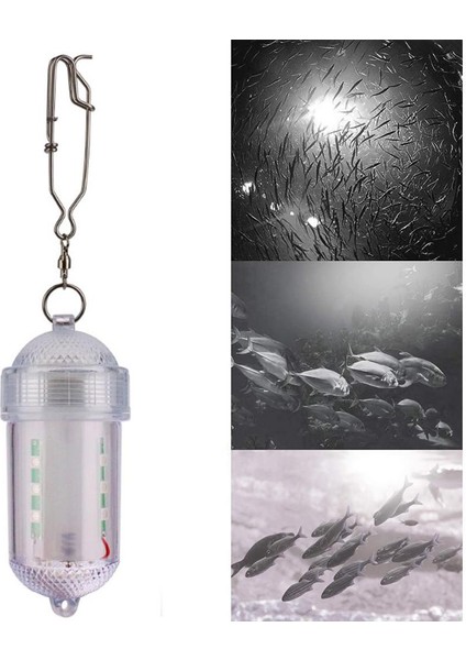 Balık Tutma Işığı (Yurt Dışından) modelleri