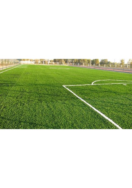 Çim Tohumu 4s Anatolia 10 Kg fiyatları