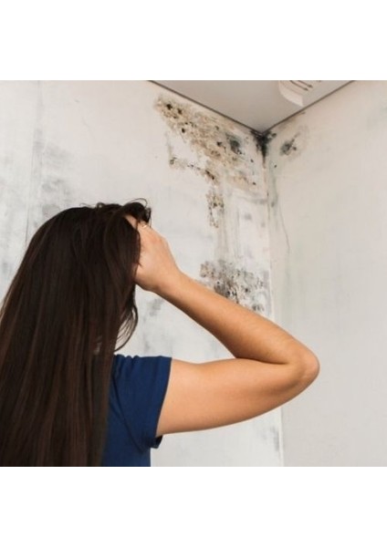 Izower M 30 Küf Ve Rutubet Önleyici Anti-Mould Paint-3,5 Kg fiyatları