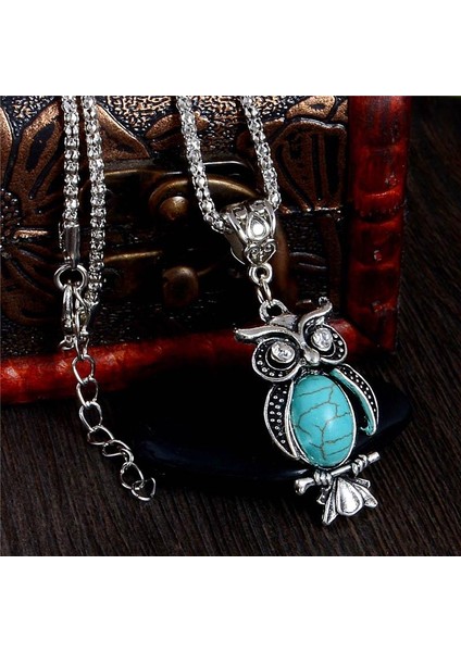 Xy Güzel Baykuş Şekli Gümüş Renk Kadın Için Uzun Zincir Kazak Kolye (Yurt Dışından) fiyatları