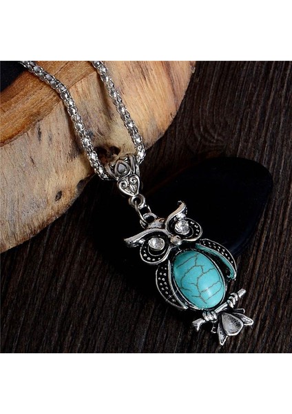 Xy Güzel Baykuş Şekli Gümüş Renk Kadın Için Uzun Zincir Kazak Kolye (Yurt Dışından) fırsatları