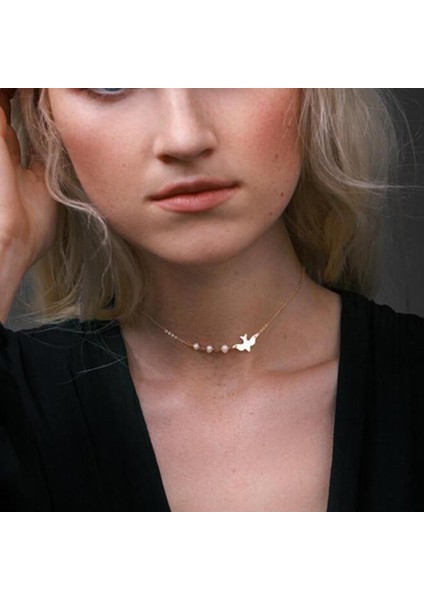 Geometrik Inciler Küçük Kuş Kısa Bölmeli Köprücük Zinciri Kolye (Yurt Dışından) modelleri