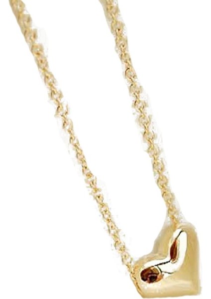 Kadın Kalp Şekli Bildirimi Zincir Kolye (Yurt Dışından)