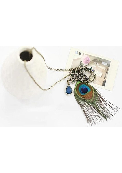 Ev Gereçleri Kadın Retro Tavuskuşu Tüyü Kristal Uzun Kazak Zincir Takı Kolye (Yurt Dışından) modelleri