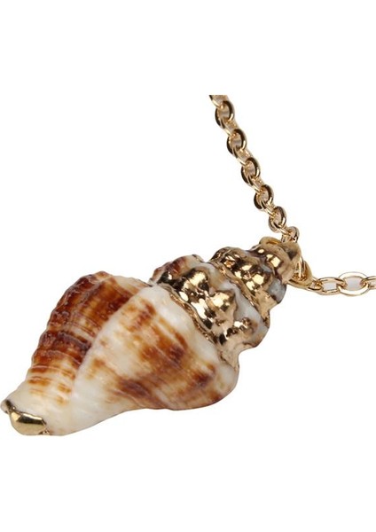 Kabuk Salyangoz Kabuğu Kabuklu Deniz Kabuğu Charm Plaj Takı Kadın Boho Için Kolye (Yurt Dışından) fiyatları