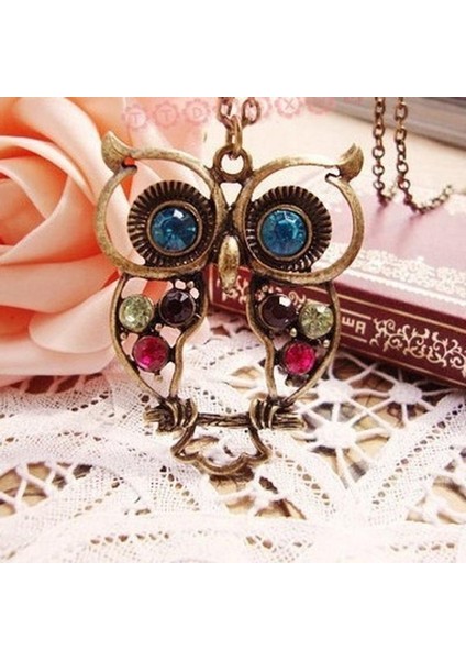 Moda Takı Vintage Renkler Içi Boş Sevimli Baykuş Retro Içi Boş Oyma Kazak Zinciri Kadınlar Için Uzun Kolye (Yurt Dışından) modelleri