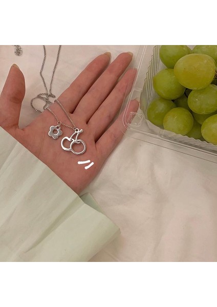 Kadın Gümüş Takı Boyunbağı Giyim I Takı Moda Kolye (Yurt Dışından) modelleri