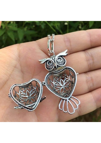 Madalyon Baykuş Içi Boş Kafes Takı Kolye (Yurt Dışından) modelleri