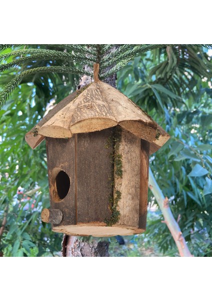 Asılı Ahşap Kuş Yuvası Süslemeleri Bahçe Için Kuş Evi (Yurt Dışından)