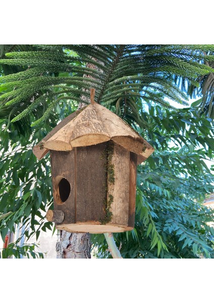 Asılı Ahşap Kuş Yuvası Süslemeleri Bahçe Için Kuş Evi (Yurt Dışından)
