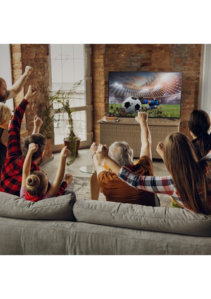 YE-43020D1 43" 109 Ekran Uydu Alıcılı Full HD LED TV