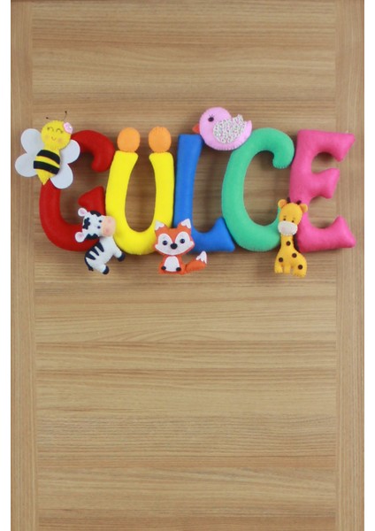 Gülce Isimli Bebek ve Hastane Odası Kapı Süsü