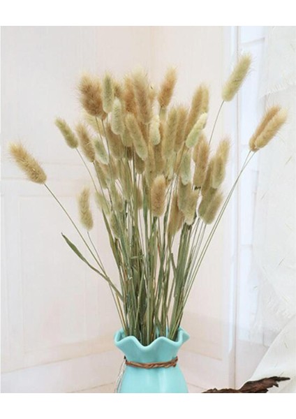 Dekoratif Yapay Çiçek (Yurt Dışından) modelleri