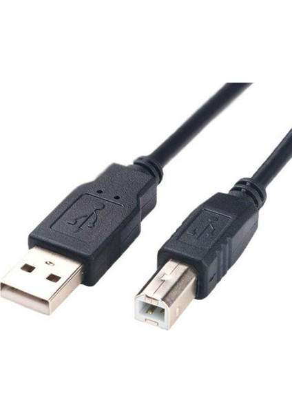 10 Parça USB 2.0 A Tip A Erkek - B Male Kablo Kablosu / Siyah 0,3 Metreye Uygun (Yurt Dışından)