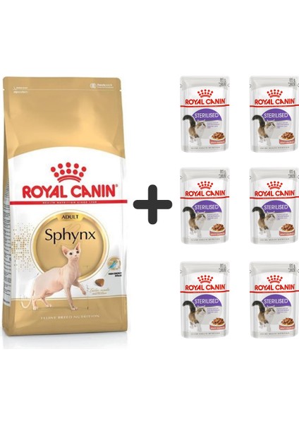 Sphynx Yetişkin Kedi Maması 2 kg + 6 Adet Yaş Mama