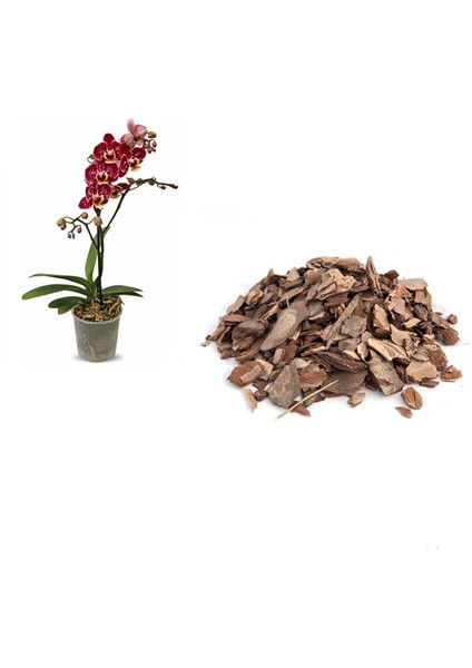Orkide Toprağı 3 Lt