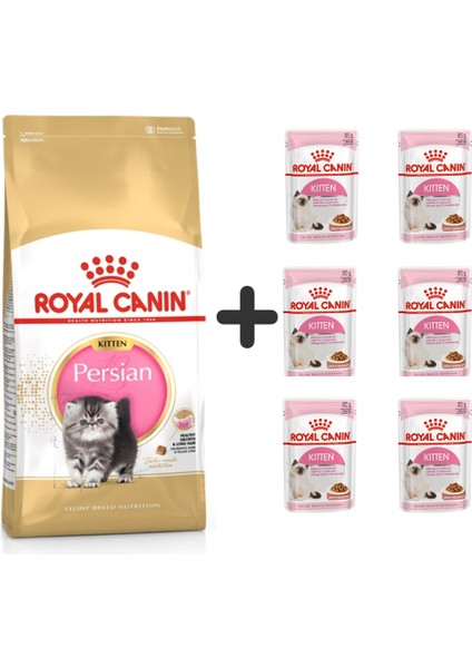 Kitten Persian Yavru Kedi Maması 2 kg + 6 Adet Yaş Mama