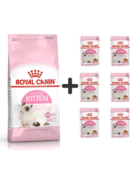 Kitten Yavru Kuru Kedi Maması 4 kg + 6 Adet Yaş Mama