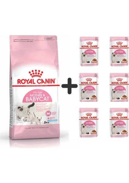 Mother Babycat Yavru Kuru Kedi Maması 4 kg + 6 Adet Yaş Mama