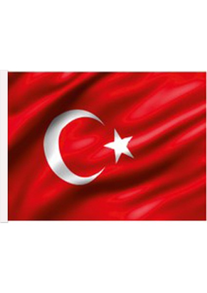 Büyük Direk Üstü Büyük Bayraklar fiyatları