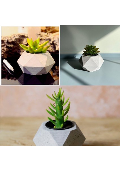 Geometrik Saksılarda 3 Adet Kaktüs