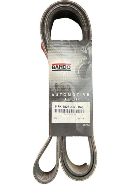 Gergi Kasnak Kayışı Scanıa 1800533 (8 Pk 1825) Bando