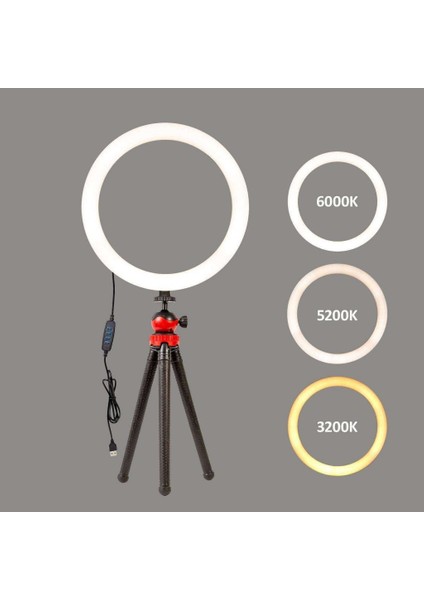 Vlogger Kit Youtuber Ring Light Işık 12'' Video Foto Işık Masa TRIPODU12 Inc Ring