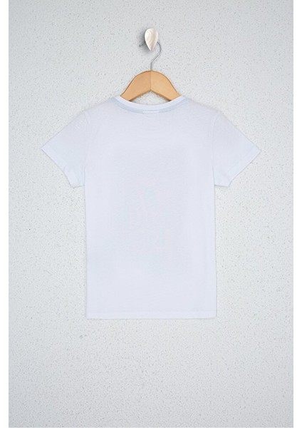 Kırmızı Erkek Çocuk T-Shirt fiyatları